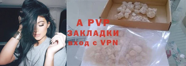 apvp Алзамай