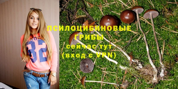 трава Пестово