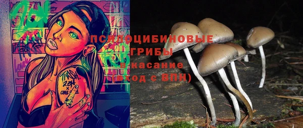 круглые Алексеевка