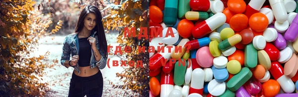 apvp Алзамай