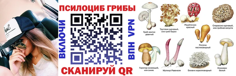 KRAKEN tor  Апрелевка  Псилоцибиновые грибы мухоморы 